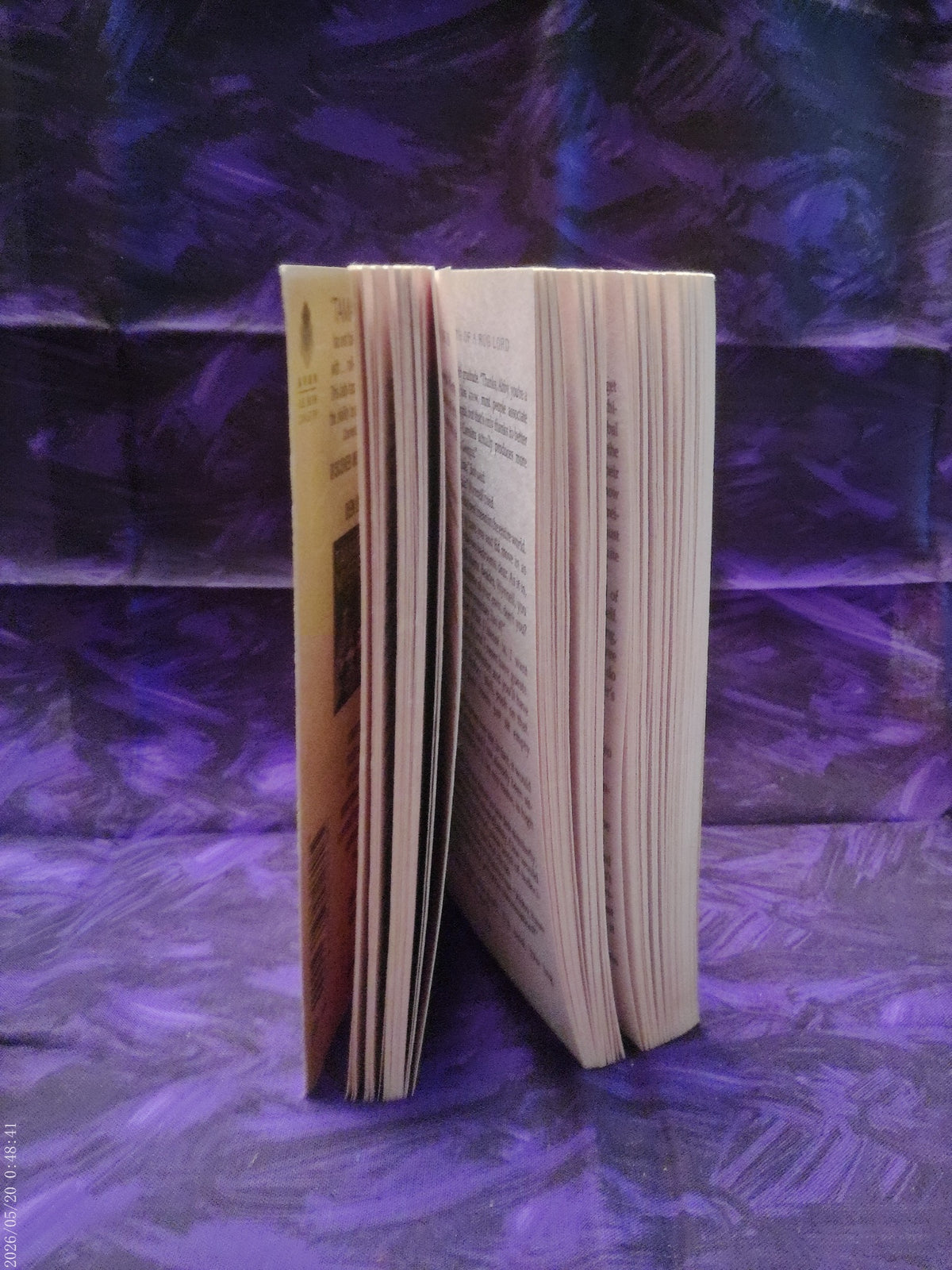 Death of a Rug Lord by Tamar Myers — page edges