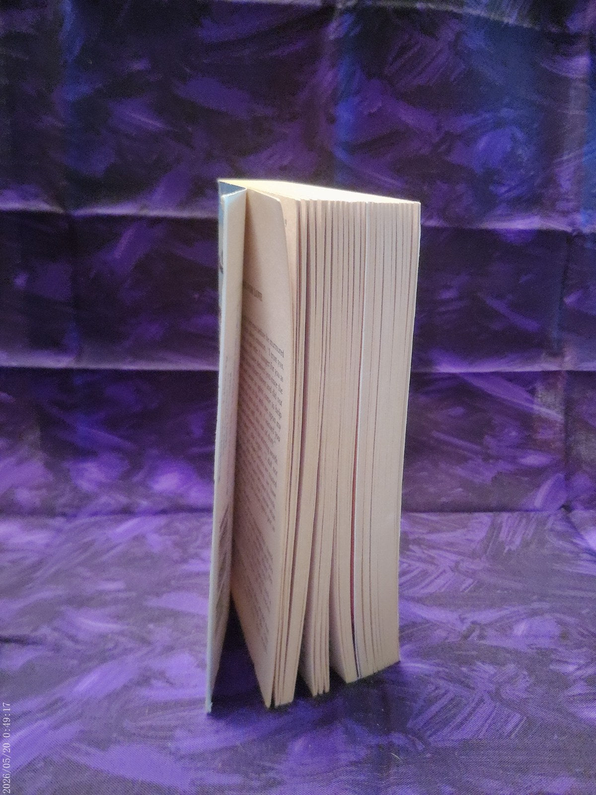 Lakota Winds by Janelle Taylor — page edges