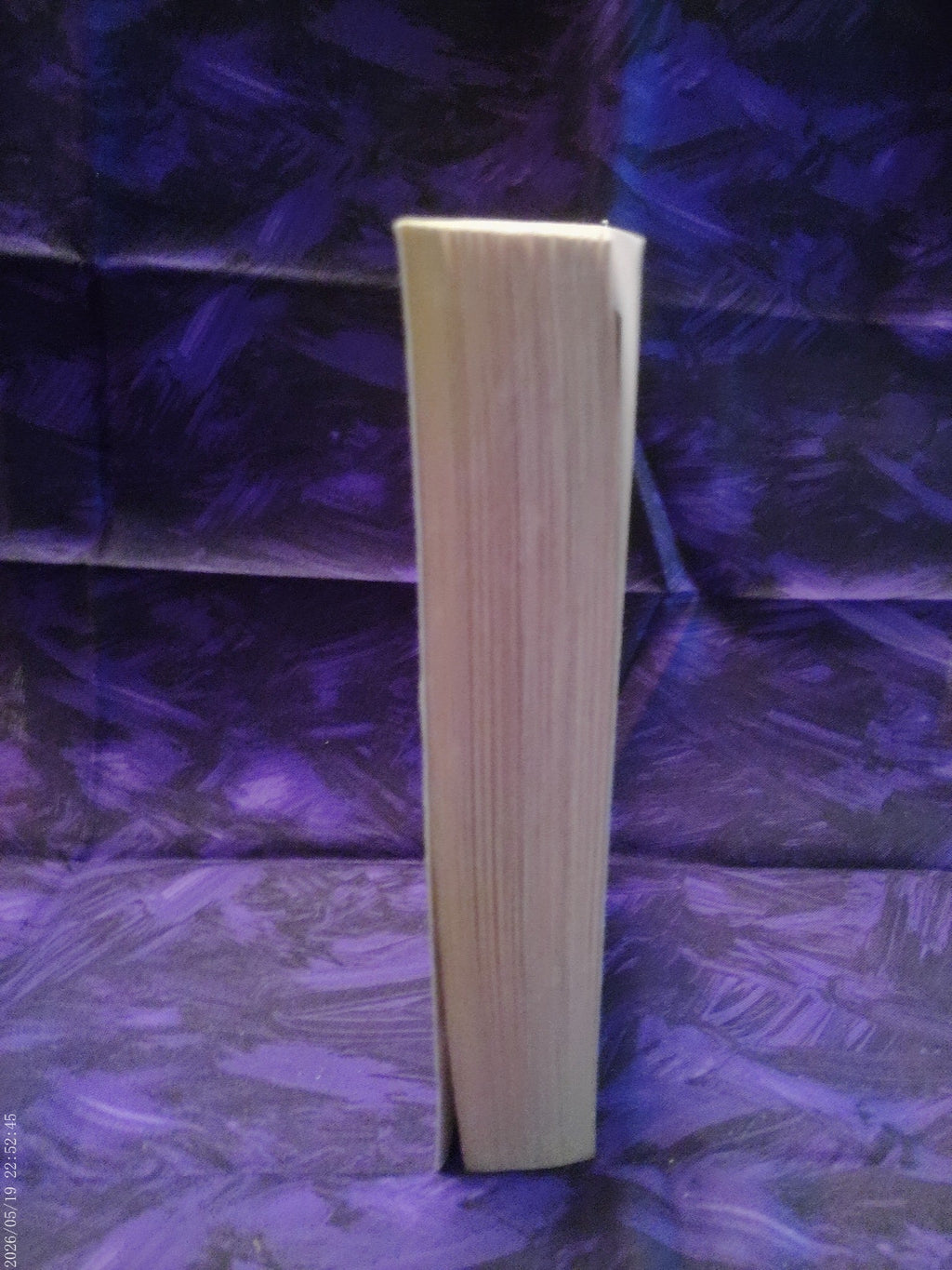 Long, Tall Christmas by Janet Dailey - Page edges
