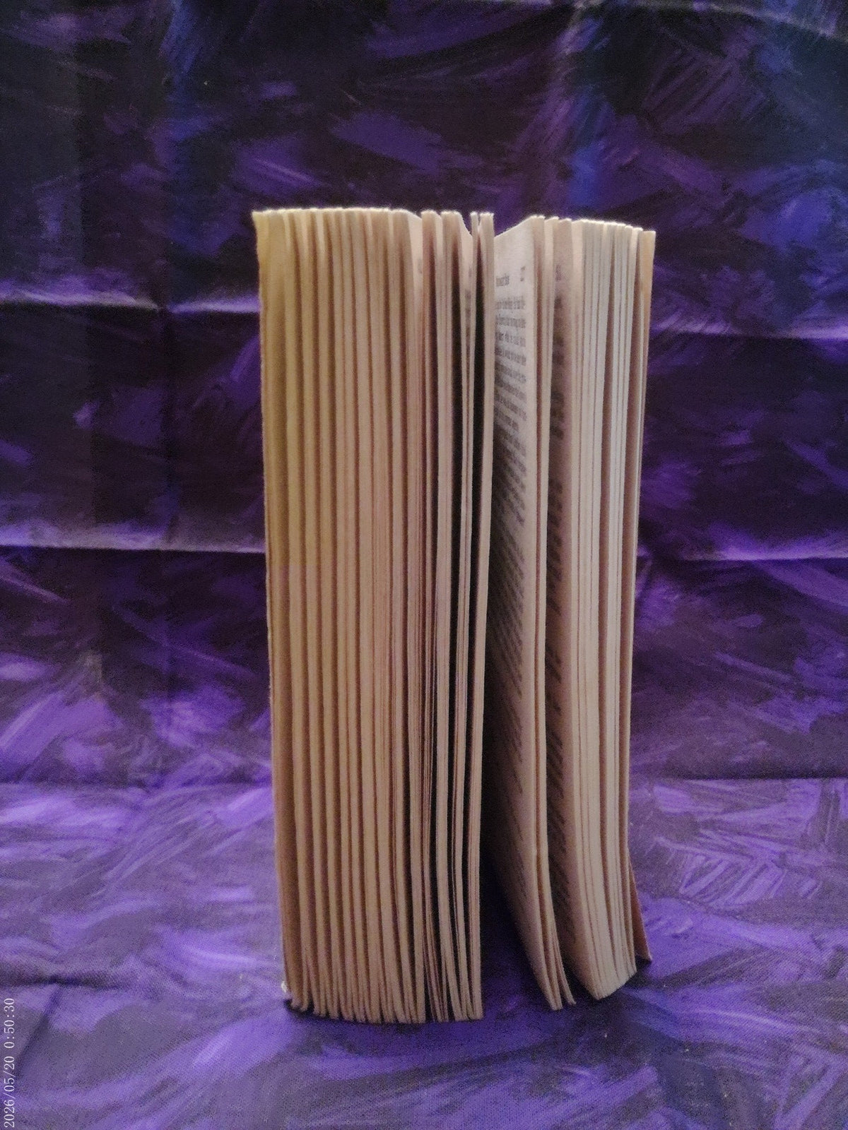 Midnight Bride by Marlene Suson — page edges