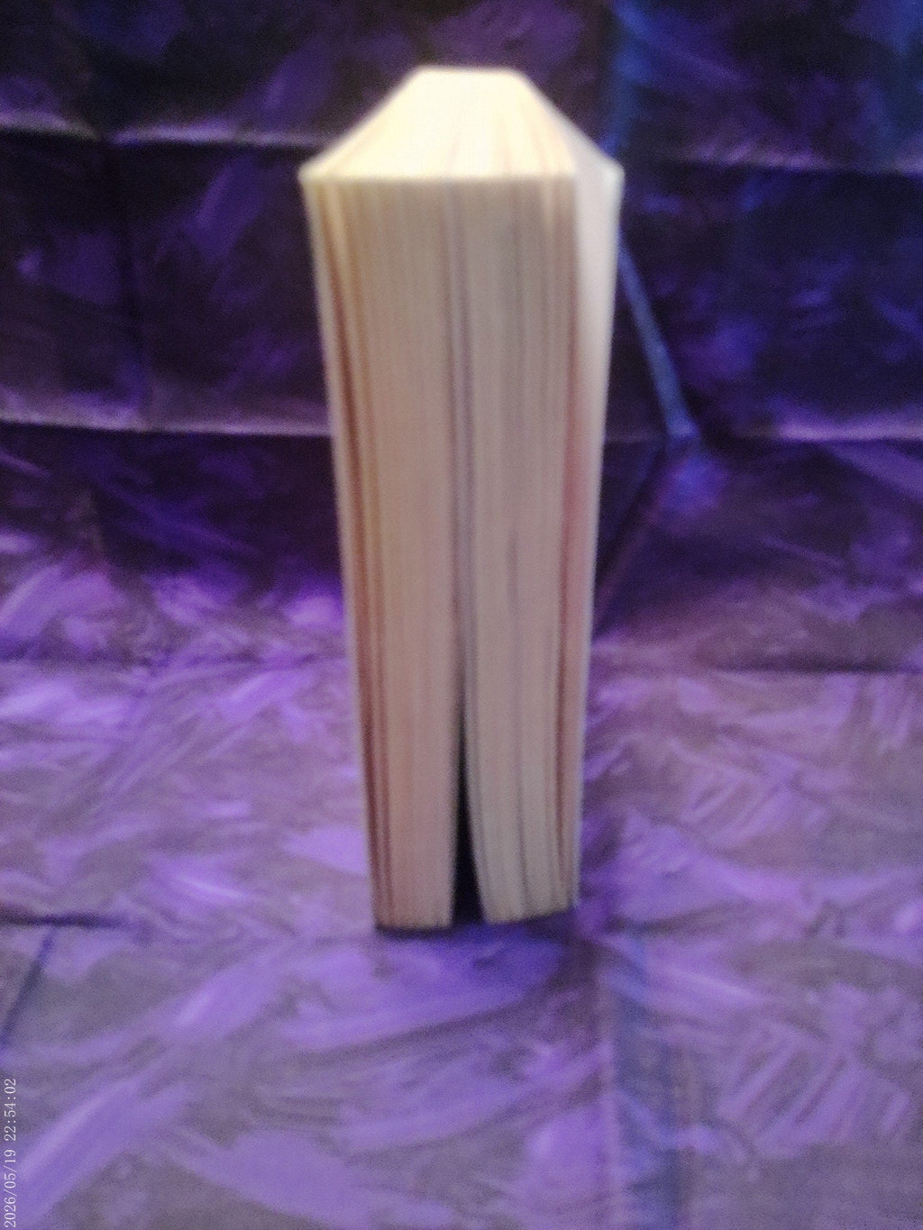 Risk Everything by Sophia Johnson - page edges