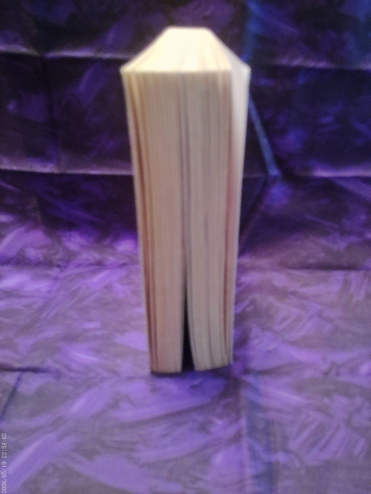 Risk Everything by Sophia Johnson - page edges