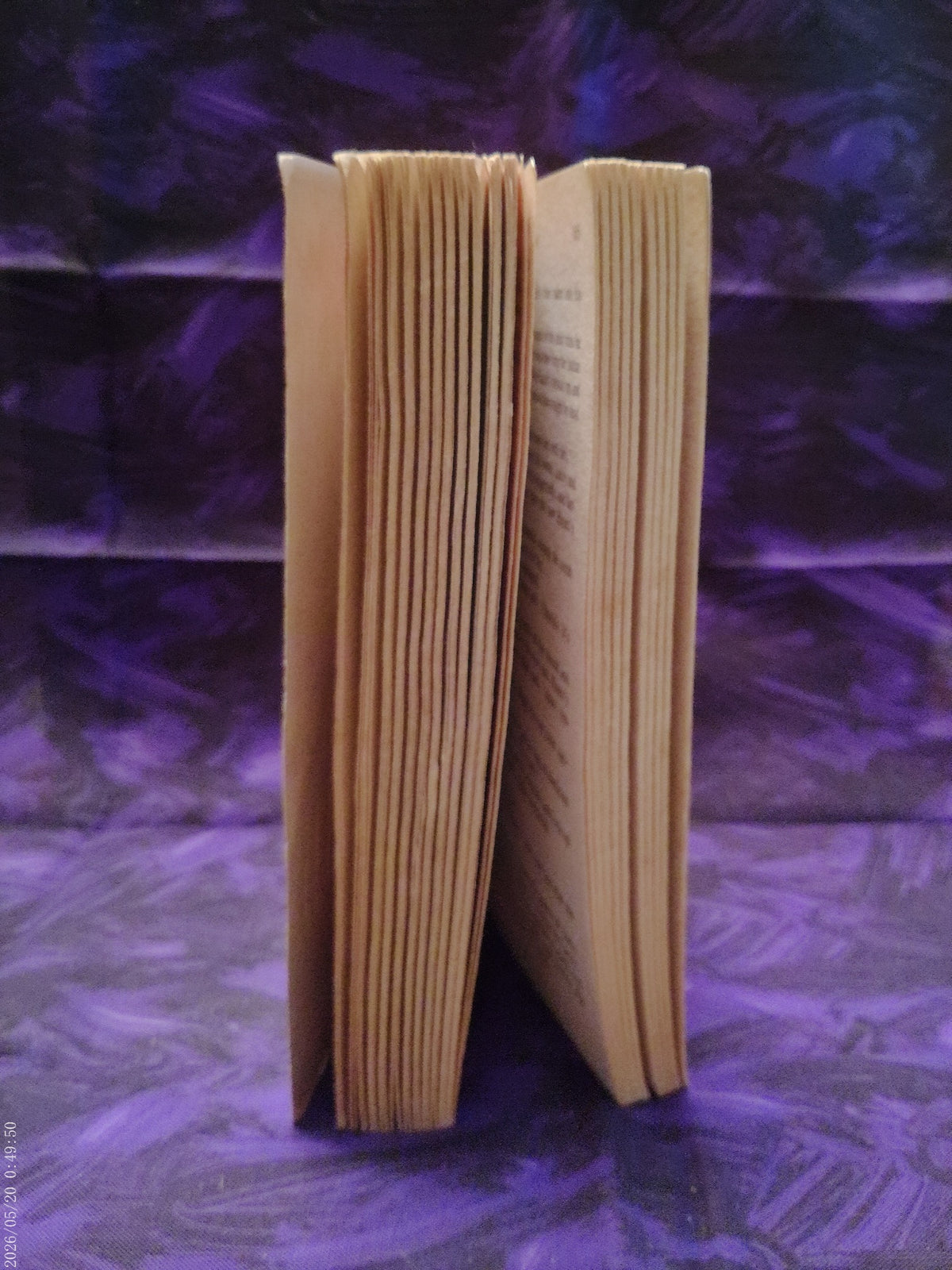 Summerfield by Lynda Trent — page edges