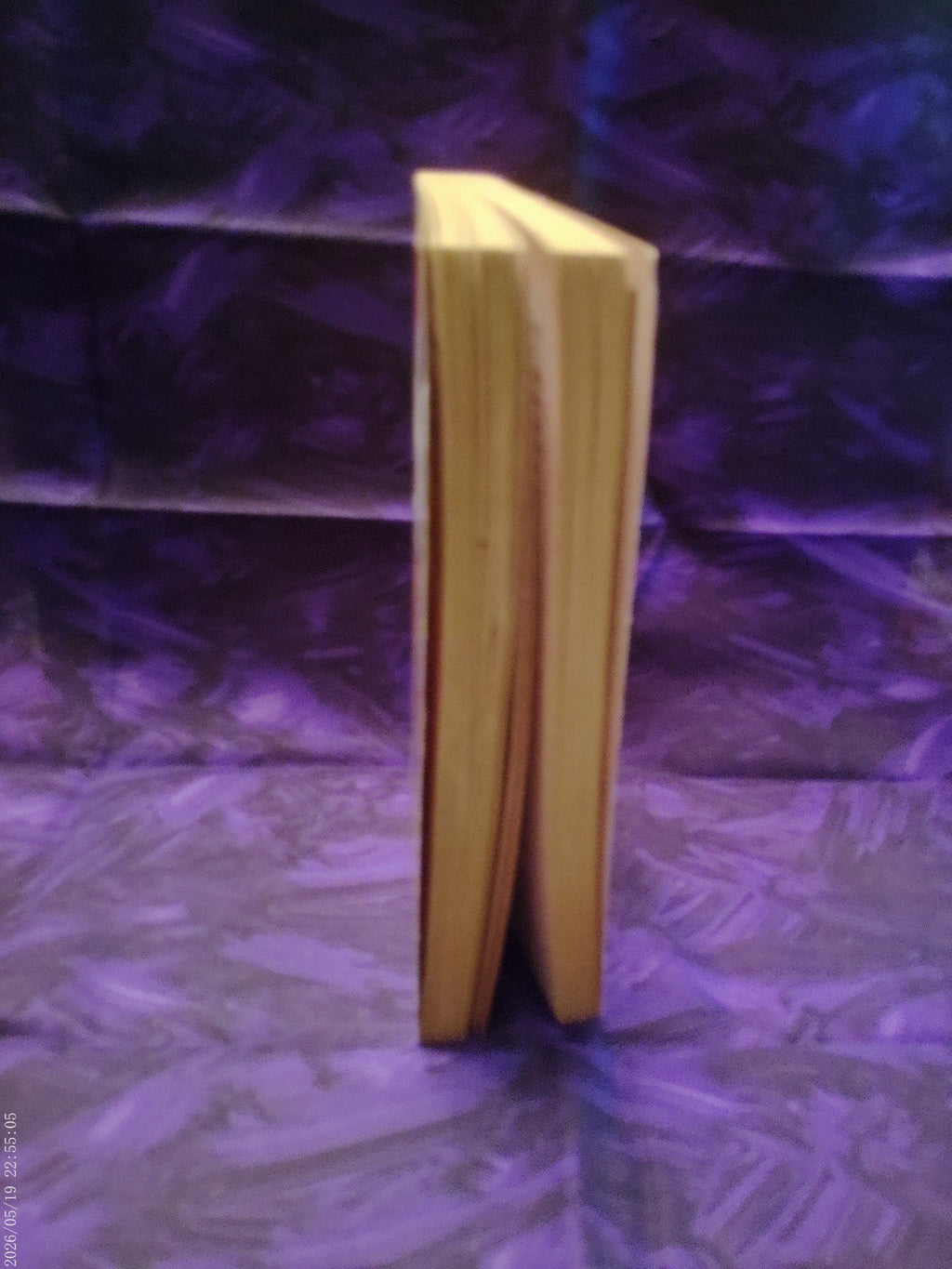 Terms of Surrender by Janet Dailey — page edges
