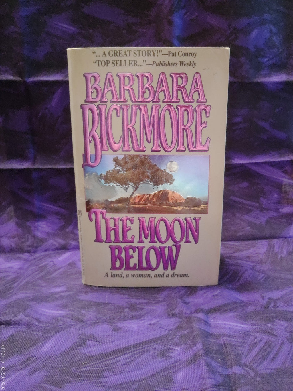 The Moon Below by Barbara Bickmore - front cover