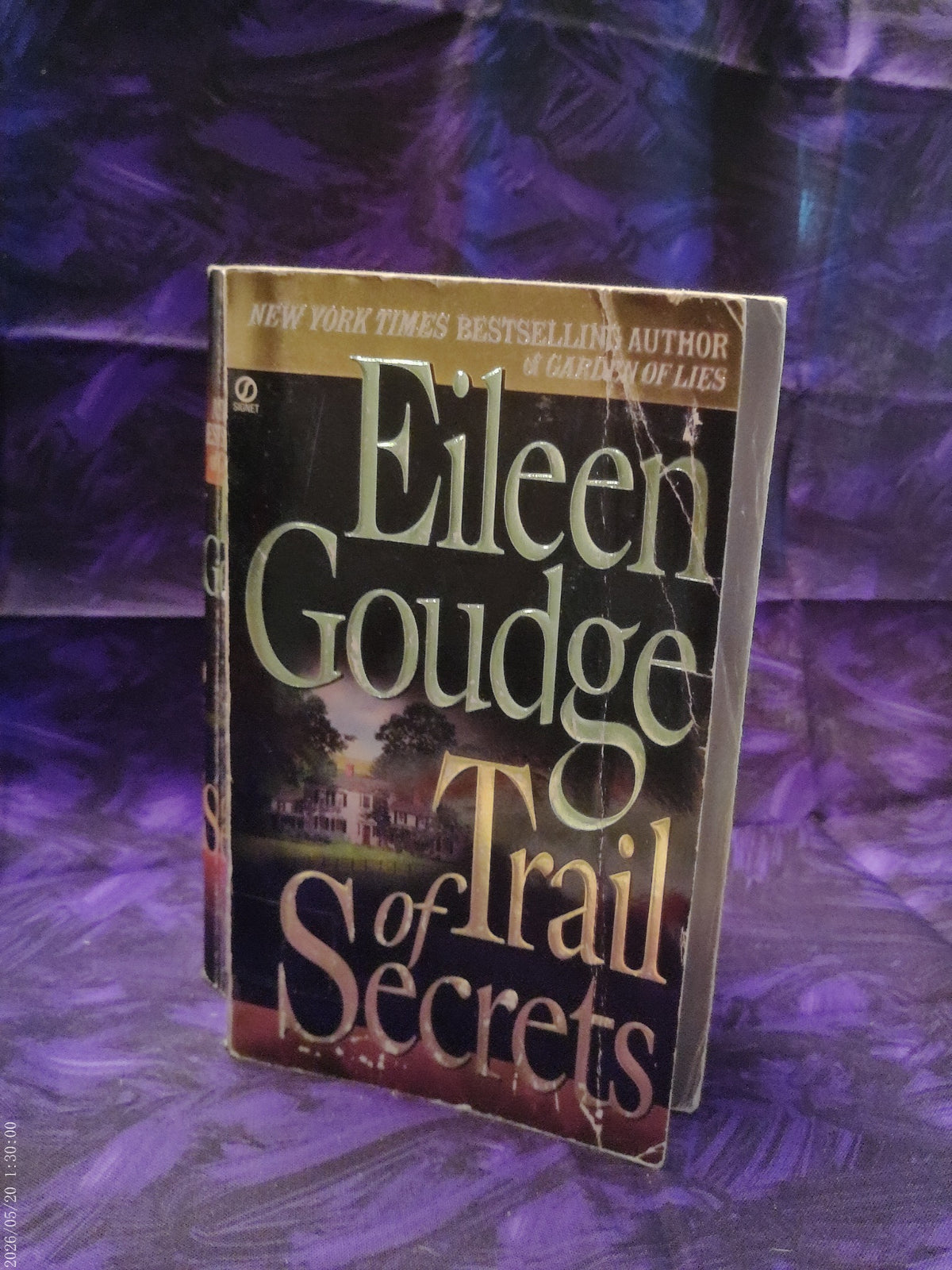 Trail of Secrets by Eileen Goudge — front cover