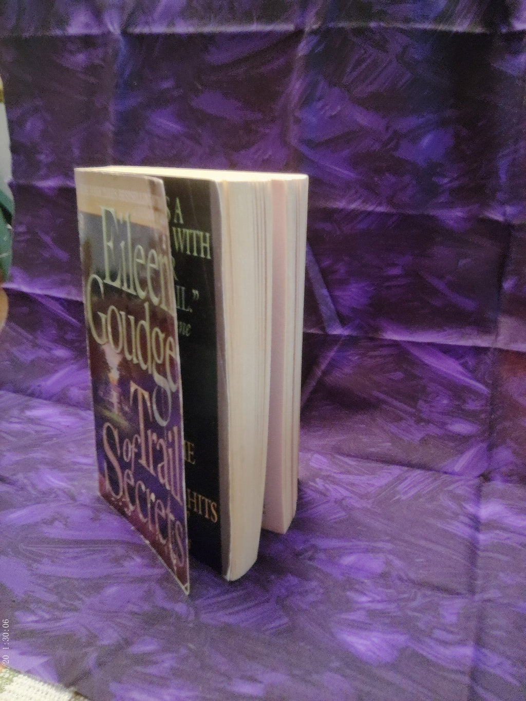 Trail of Secrets by Eileen Goudge — page edges