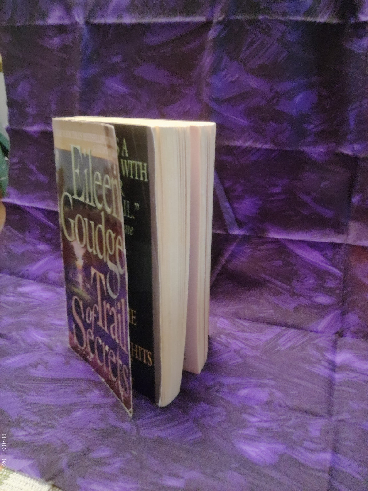 Trail of Secrets by Eileen Goudge — page edges