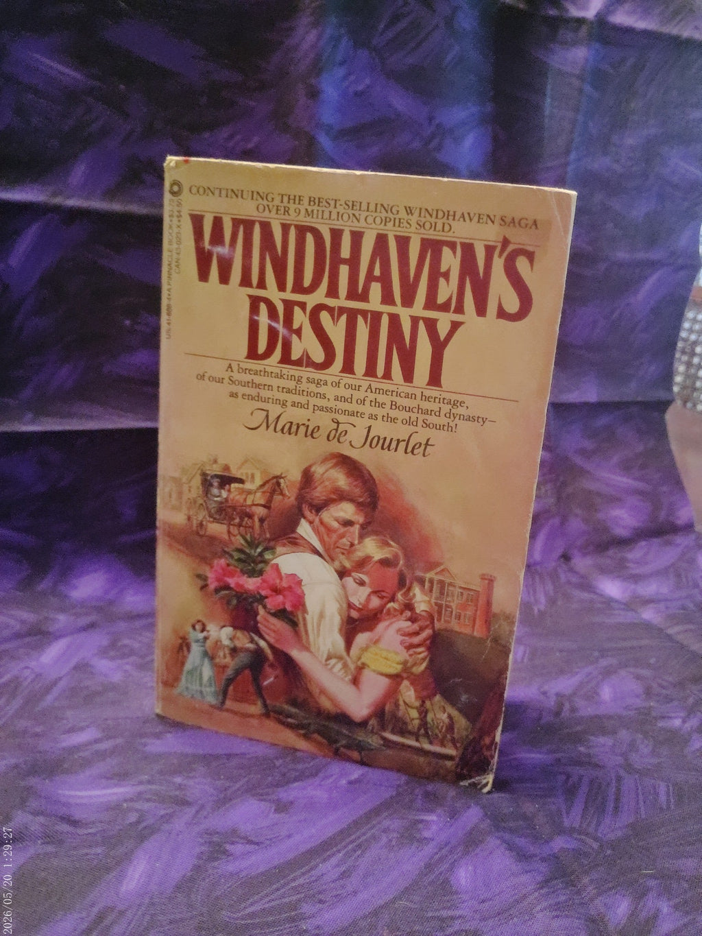 Windhaven's Destiny by Marie de Jourlet photo 1