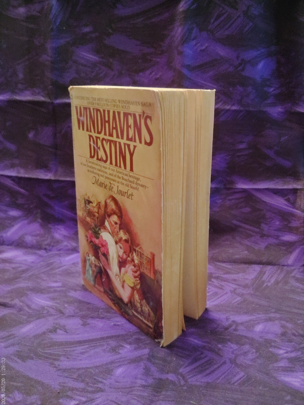 Windhaven's Destiny by Marie de Jourlet photo 2